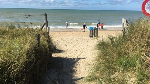 A sandy beach with a wooden fence and a trash bin.