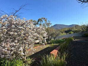 Property grounds - Mountains and Treetops Retreat - Nature Getaway (West Moonah)