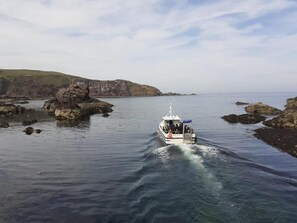 Explore the coastline from a unique perspective on this guided boat tour.