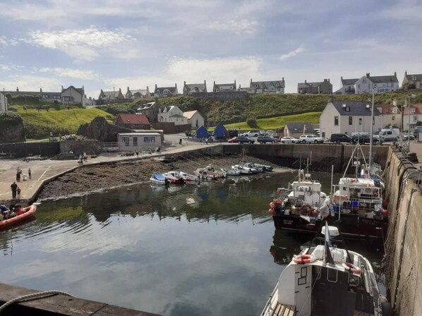 Apartment, 3 Bedrooms, Patio, City View | Exterior - Elmbank House Apartment With Island Views (Berwick-upon-Tweed)