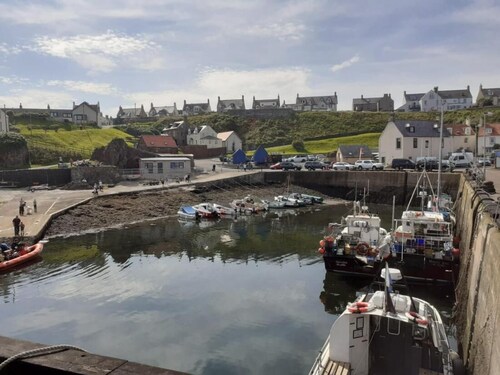 Elmbank House Apartment With Island Views