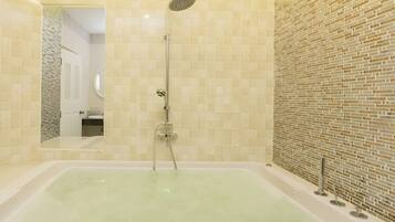 Premium Double or Twin Room | Bathroom | Free toiletries, hair dryer, towels, soap