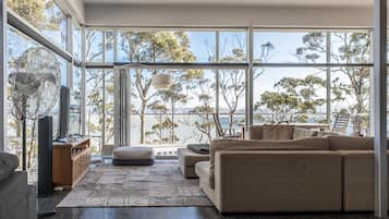 Smart TV, fireplace, books, video library