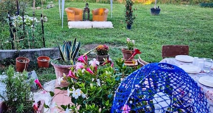 The Wine House
appartamento in casa tipica rurale toscana
