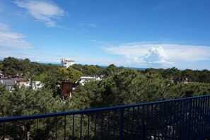 公寓, 1 间卧室, 阳台, 海洋景观 | 阳台