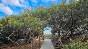 A wooden pathway leading through a forested area with trees on either side. - Private Screened Pool, Easy Beach Access in Plantation! (St. George Island)