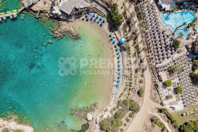 Villa Sophie Summary: