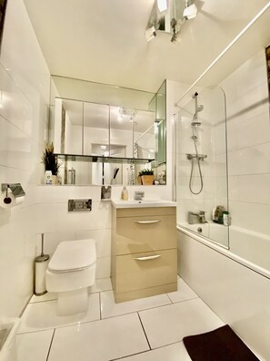 Hair dryer, towels, toilet paper