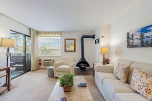 Televisión, chimenea, reproductor de DVD y libros