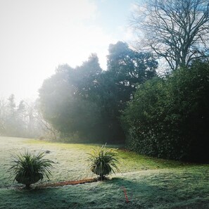 Cottage | Property grounds