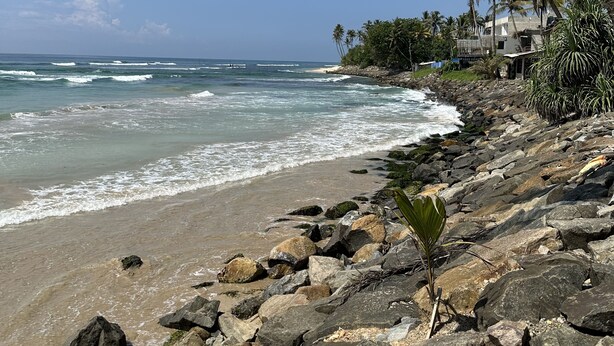 A rocky beach with palm trees and a clear blue sky. - Dipndoze (Ahangama)