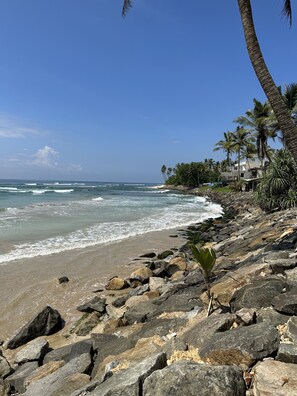 A rocky beach with palm trees and a clear blue sky. - Dipndoze (Ahangama)