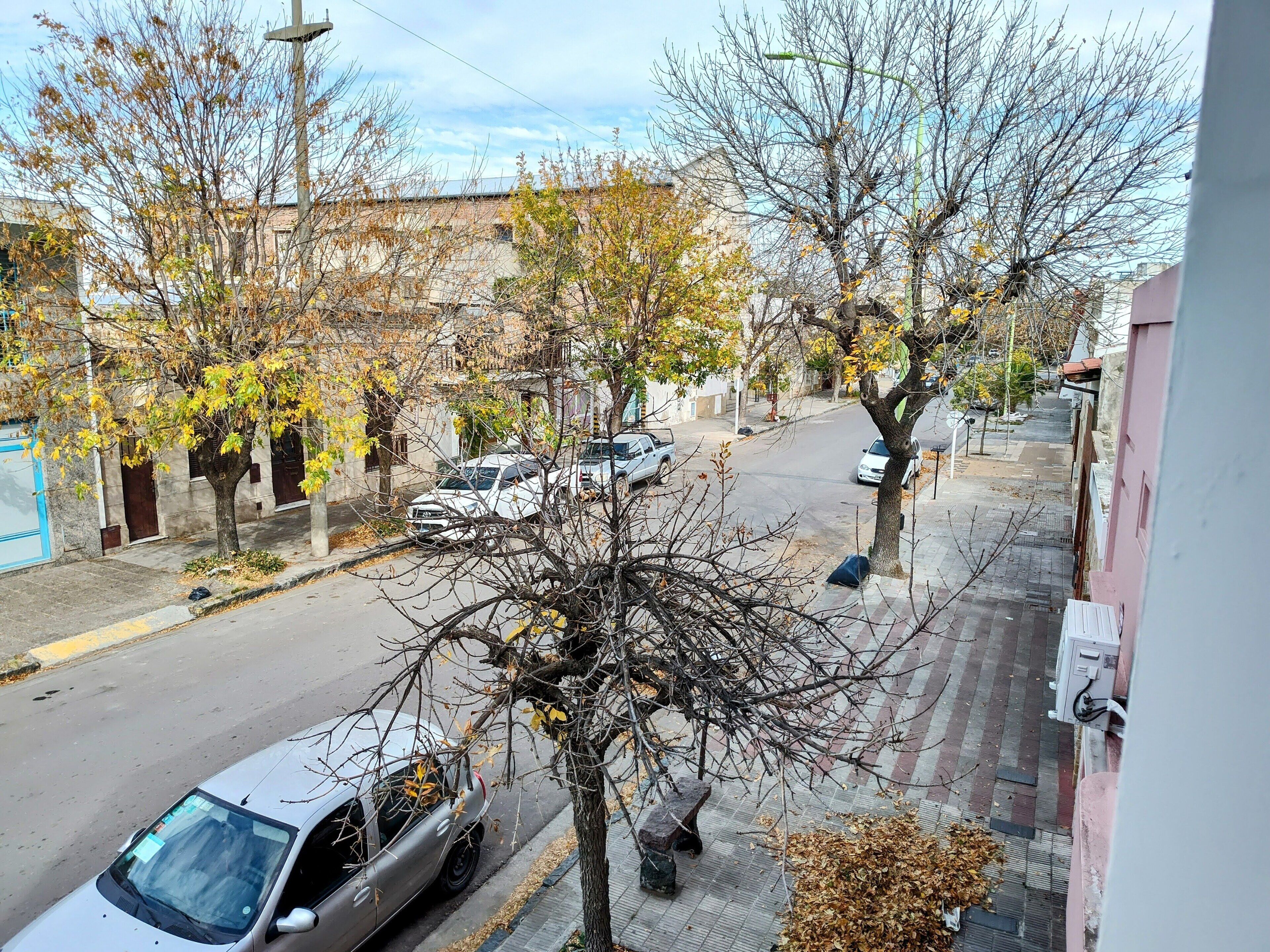 A street view with parked cars, leafless trees, and buildings.