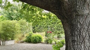 A stone bench under a tree in a garden with gravel ground. - Le Gîte du Tilleul (Pernes-les-Fontaines)