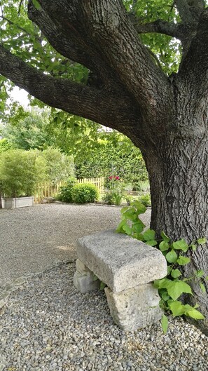 Un banc en pierre, placé sous un arbre dans un jardin dont le sol est recouvert de gravier.
