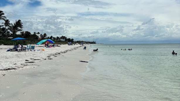 Une plage avec un ciel dégagé, une eau calme et des parasols.