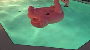 Une piscine avec un flotteur en forme de flamant rose.