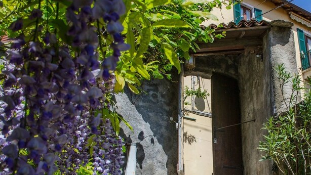A stone staircase leading to a door, surrounded by greenery and a building facade.