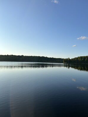 Property grounds - Cozy Woodland Getaway with Lake Frontage (Glidden)