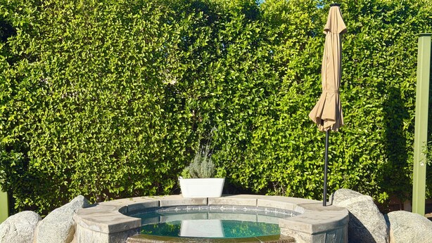 A hot tub with a stone edge, surrounded by a pool, with a hedge in the background. - 1/2acre Adult & Kid Playground-relax & have fun! Pool/spa-golf-tennis-shopping (La Quinta)