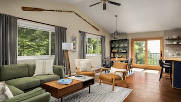 Smart TV, fireplace, DVD player, books