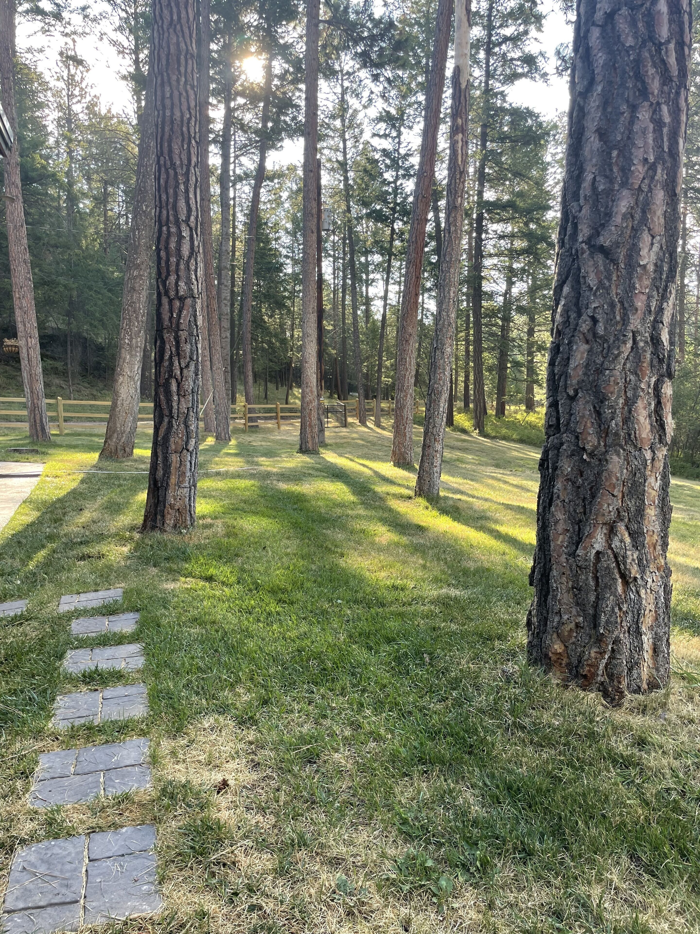 Enceinte de l’hébergement