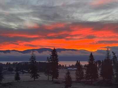 Montana Forest Retreat, Easy Walk to Flathead Lake, 1.5 Acres Fenced for Dogs!
