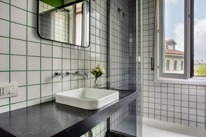 Shower, hair dryer, bidet, towels