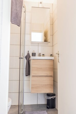 Shower, hair dryer, toilet paper