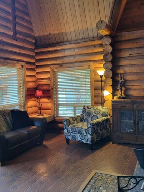 Smart TV, fireplace, books