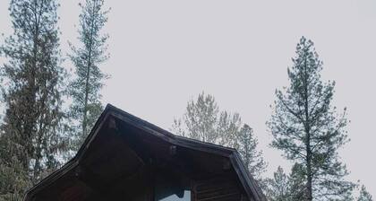 Cozy, rustic private cabin in the woods! Skip to the river & CDA bike trail!