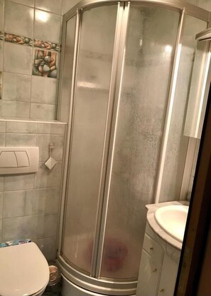 Shower, hair dryer, toilet paper