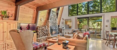 TV, fireplace, books