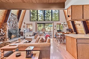 TV, fireplace, books