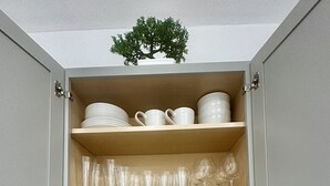 Et køkken med et indbygget skab, der indeholder hvide tallerkener, glas og sukkerdåser. Der er en komfur og en kaffemaskine på bordet.