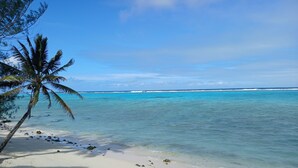 A beach with clear turquoise water, a palm tree, and a sandy shore.