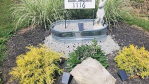 A garden with a sign for Bunny Bungalow, a rabbit statue, and various plants.