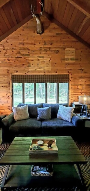 Smart TV, chimenea y estéreo 