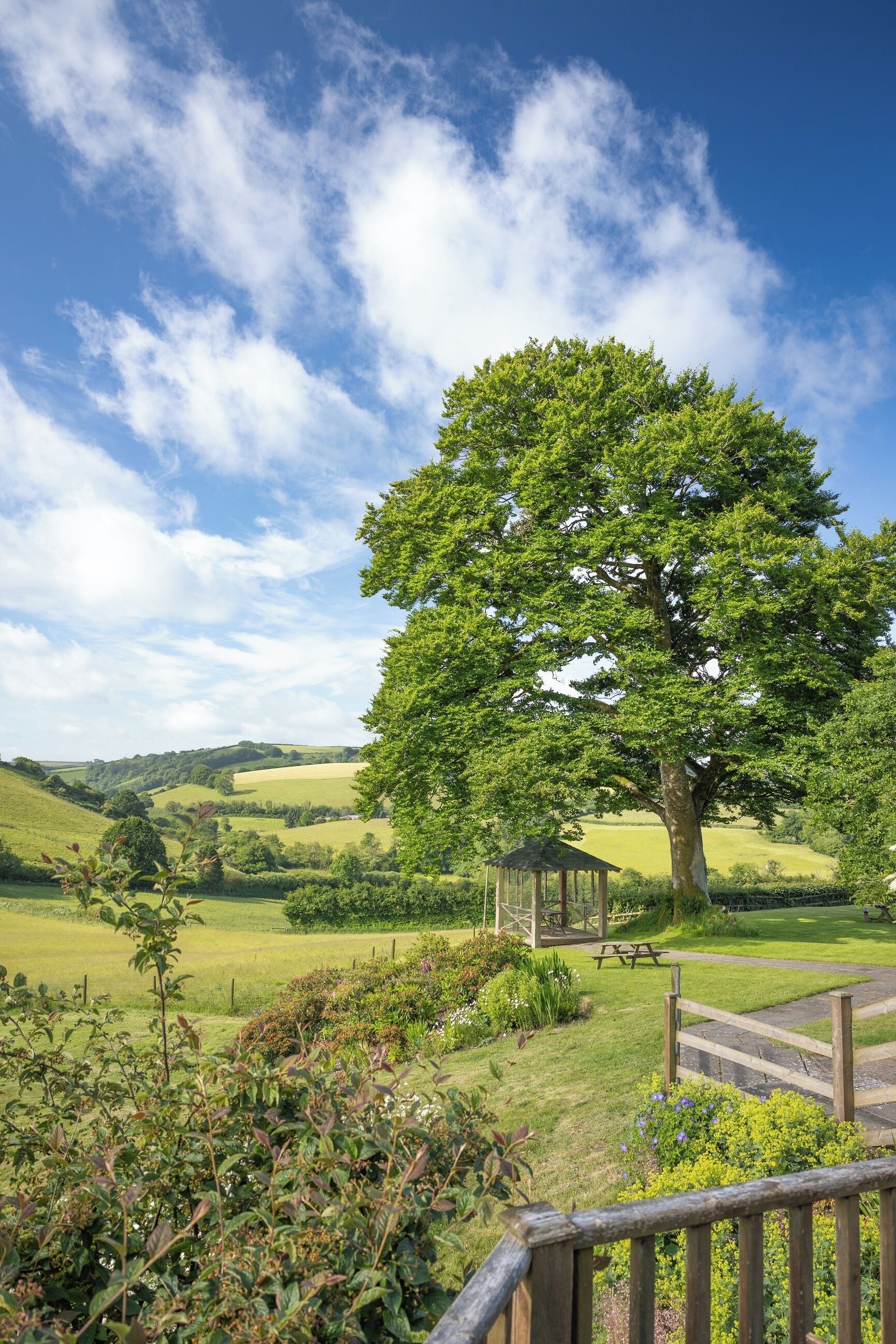 Un grand arbre se dresse dans un champ verdoyant, à proximité d’un belvédère et d’une table de pique-nique.