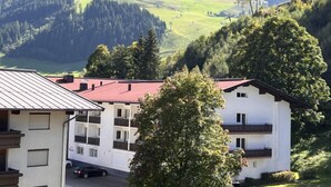 Uklassifisert bilde, 5 av 29, knapp