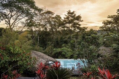 A Boutique Hotel, Spa, Restaurant, activities, in the middle of the rainforest. 