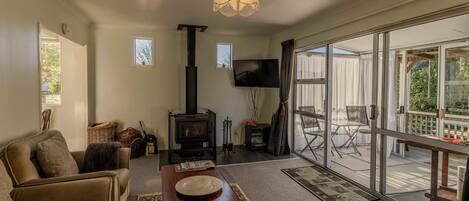 Télévision, cheminée, livres, chaîne hi-fi