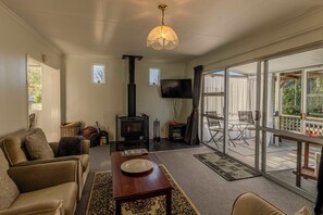TV, fireplace, books, stereo