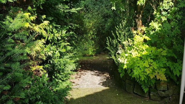 A narrow pathway surrounded by dense greenery and a stone wall on one side. - Charmantes Refugium, Harz (Wildemann)