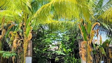 Entrada de la propiedad