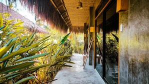 Un sendero bordeado por plantas tropicales que conduce a un edificio con techo de paja y ventanas amplias.