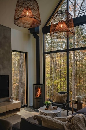 TV, fireplace, stereo, offices
