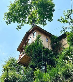 Extérieur