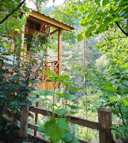The tree house ghiyagi (Tandi)