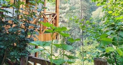 The tree house ghiyagi (Tandi)